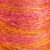 9506 coral fish